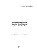 kaftafbeelding Archeologische opgraving Kruibeke - Kasteleinsstraat (Krucor NV - Zone 3)