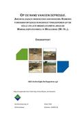 kaftafbeelding Op de rand van een depressie. Archeologisch onderzoek van inheems-Romeins funerair erfgoed en nederzettingssporen uit de volle en late middeleeuwen langs de Marialoopsteenweg te Meulebeke (W.-Vl.).